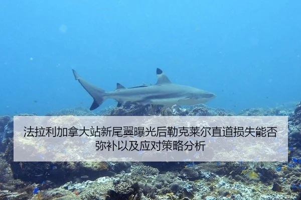法拉利加拿大站新尾翼曝光后勒克莱尔直道损失能否弥补以及应对策略分析 - jiuyou game