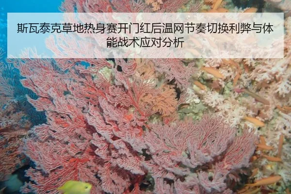 斯瓦泰克草地热身赛开门红后温网节奏切换利弊与体能战术应对分析